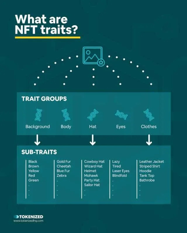 A Guide To Ranking Rare Nfts | Nft News