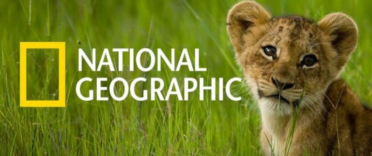 National Geographic Nfts Turn Into A National Failure | Nft News