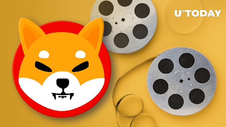 Lead Of Shiba Inu Might Be In Search Of Actress For Shiba Movie, This Shib Enthusiast Hints – Crypto Insight