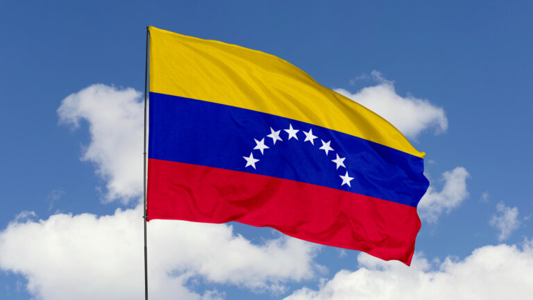Venezuelan Crypto Authority Removed And Arrested – Crypto Insight