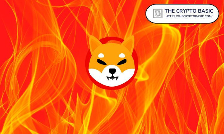 149M Shiba Inu Burned In 24 Hours As Unknown Wallet Burns 136M – Crypto Insight
