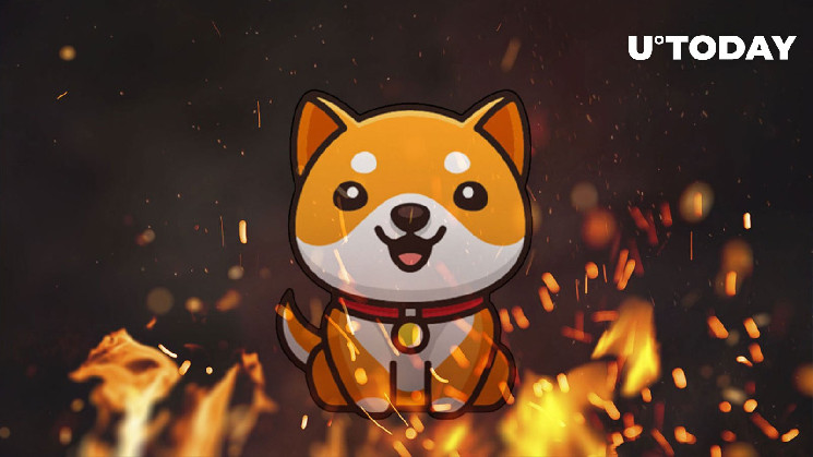 Over Half Quadrillion Baby Doge Coin (Babydoge) Burned In Massive Burn Moves: Details – Crypto Insight